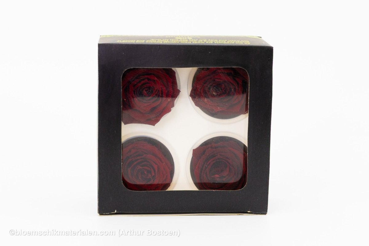 GECONSERVEERDE ROOS (LARGE OPEN) +/ - 8.5CM BORDEAUX 4ST - bloemschikmaterialen.com