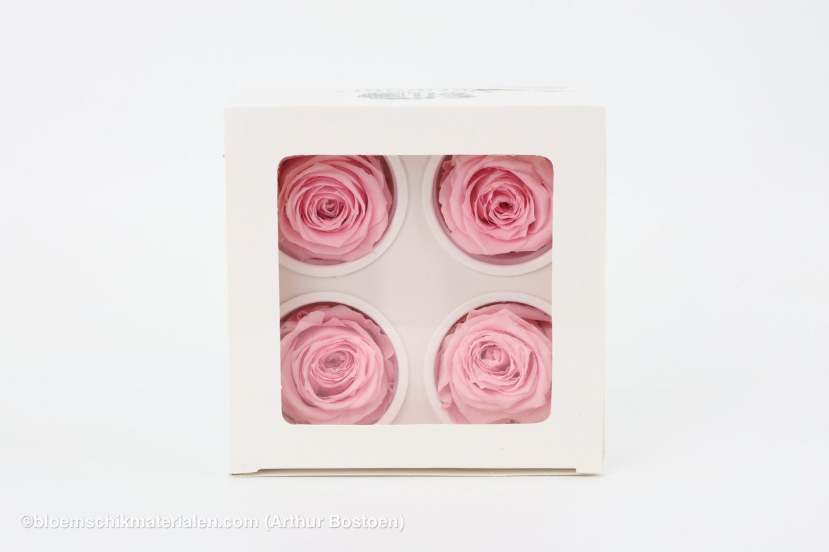 GECONSERVEERDE ROOS (LARGE OPEN) +/ - 8.5CM ROOS 4ST - bloemschikmaterialen.com