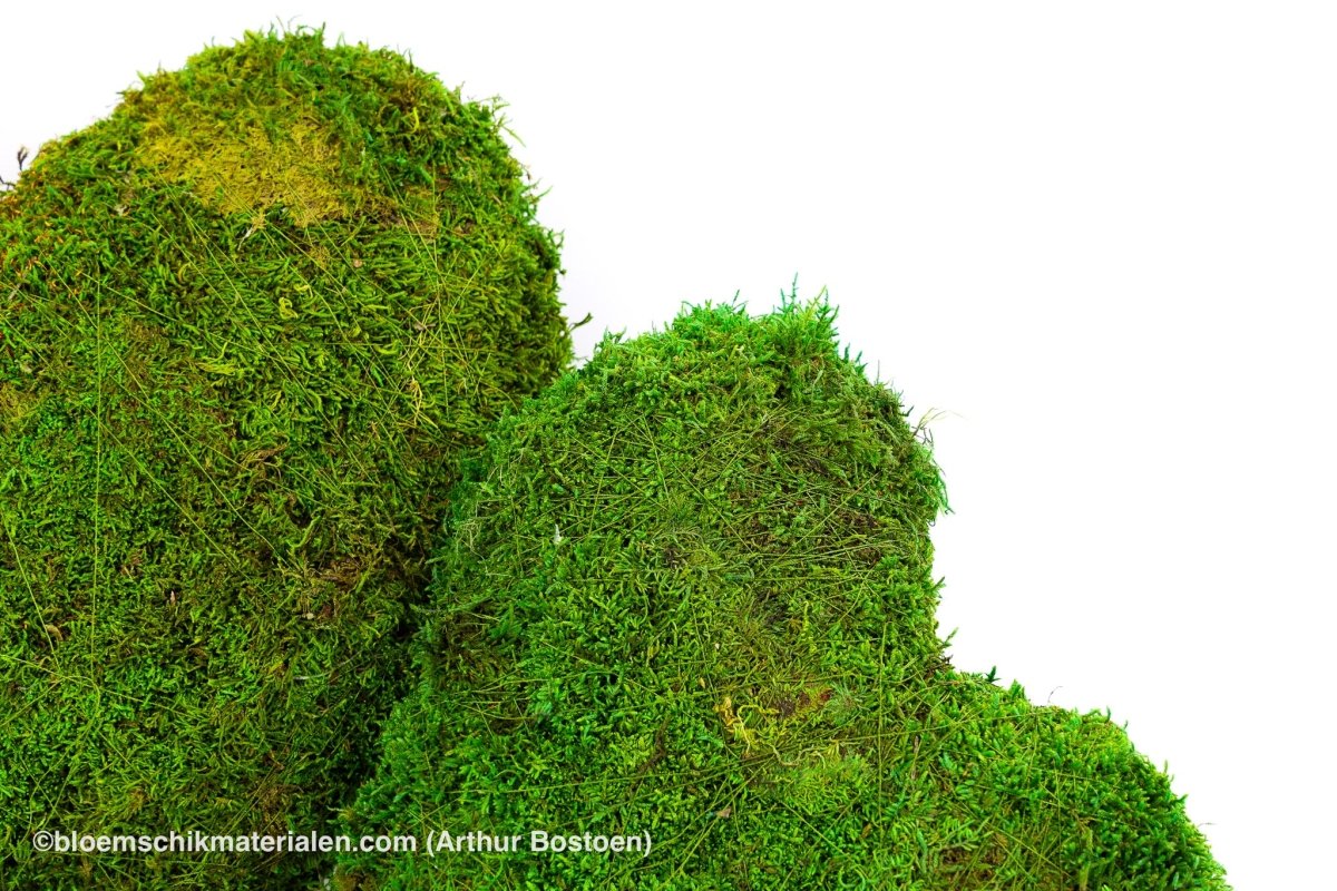 HART GROEN MOS 40 CM - bloemschikmaterialen.com