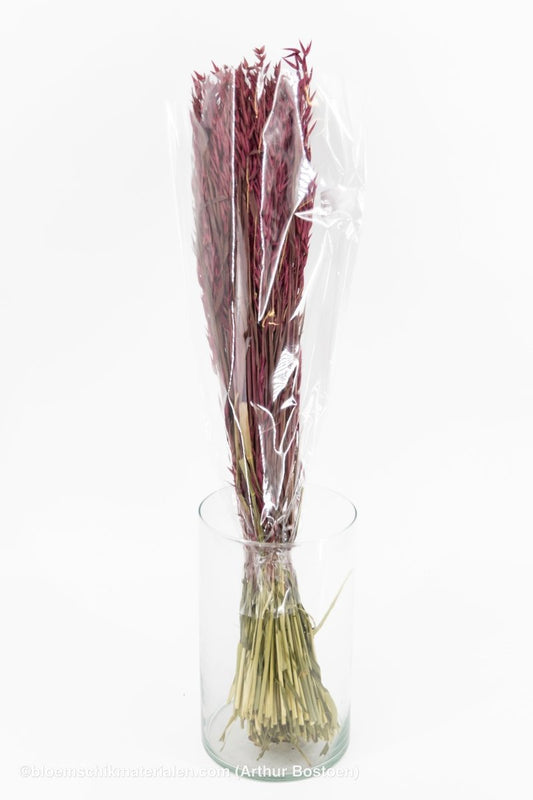 HAVER BORDEAUX - bloemschikmaterialen.com