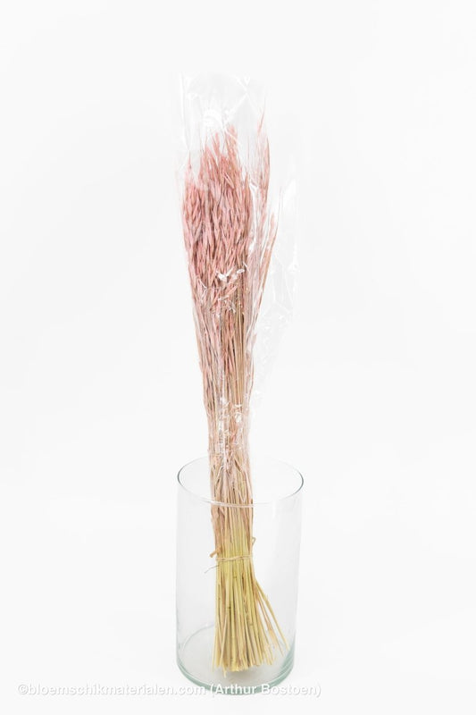 HAVER FROSTED PINK - bloemschikmaterialen.com
