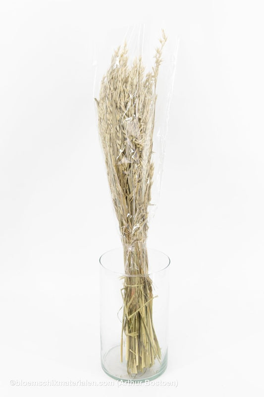 HAVER FROSTED WHITE - bloemschikmaterialen.com