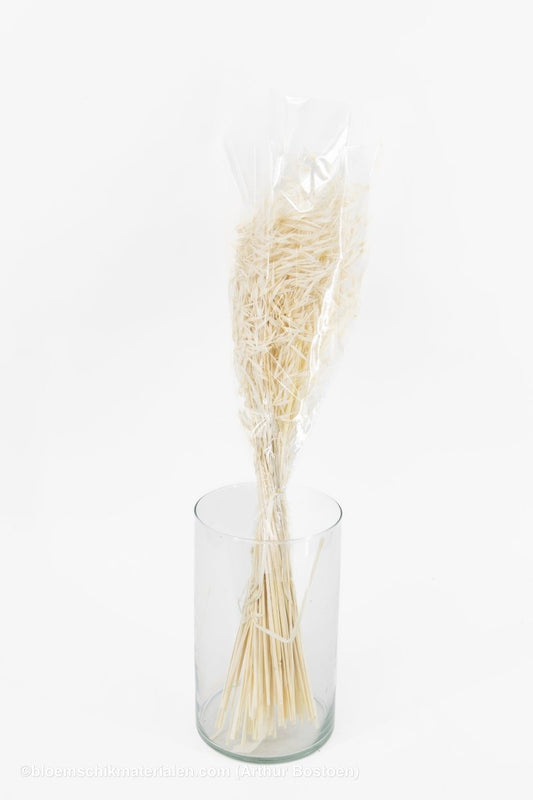 HAVER GEBLEEKT +/ - 100GR - bloemschikmaterialen.com