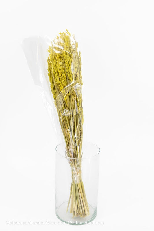 HAVER GEEL - bloemschikmaterialen.com