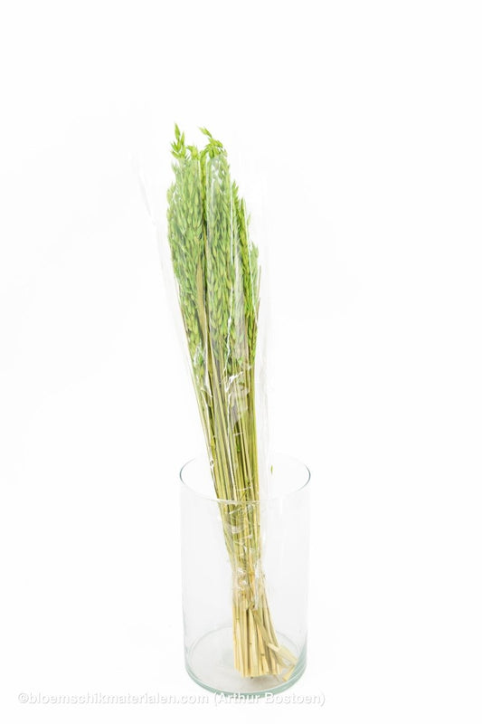 HAVER GROEN - bloemschikmaterialen.com