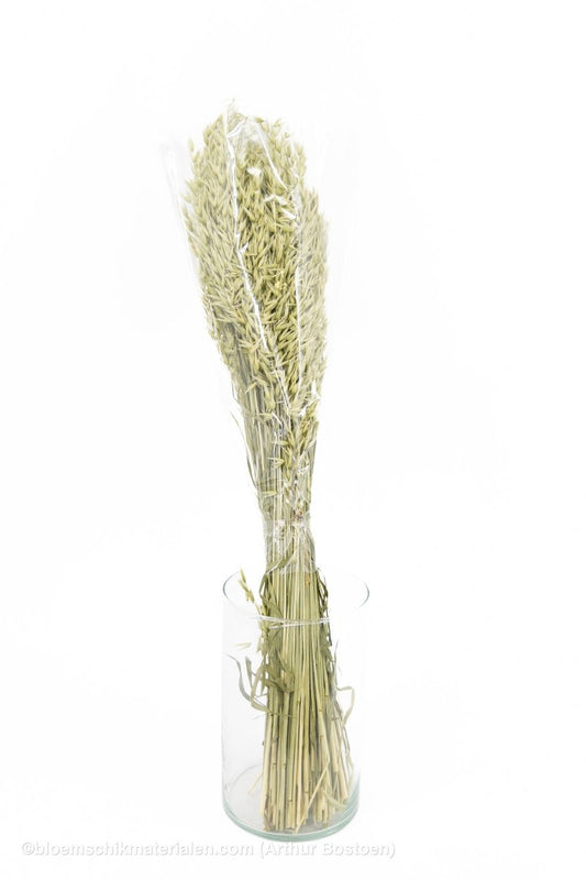 HAVER NATUREL - bloemschikmaterialen.com