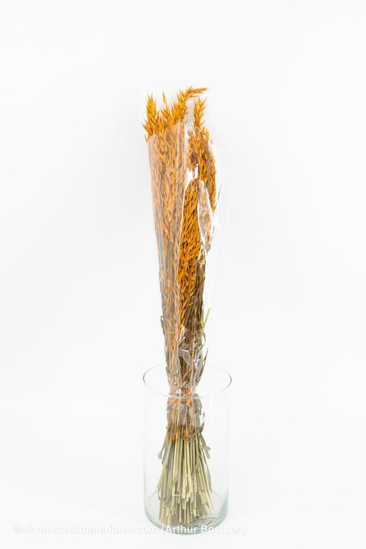 HAVER ORANJE - bloemschikmaterialen.com