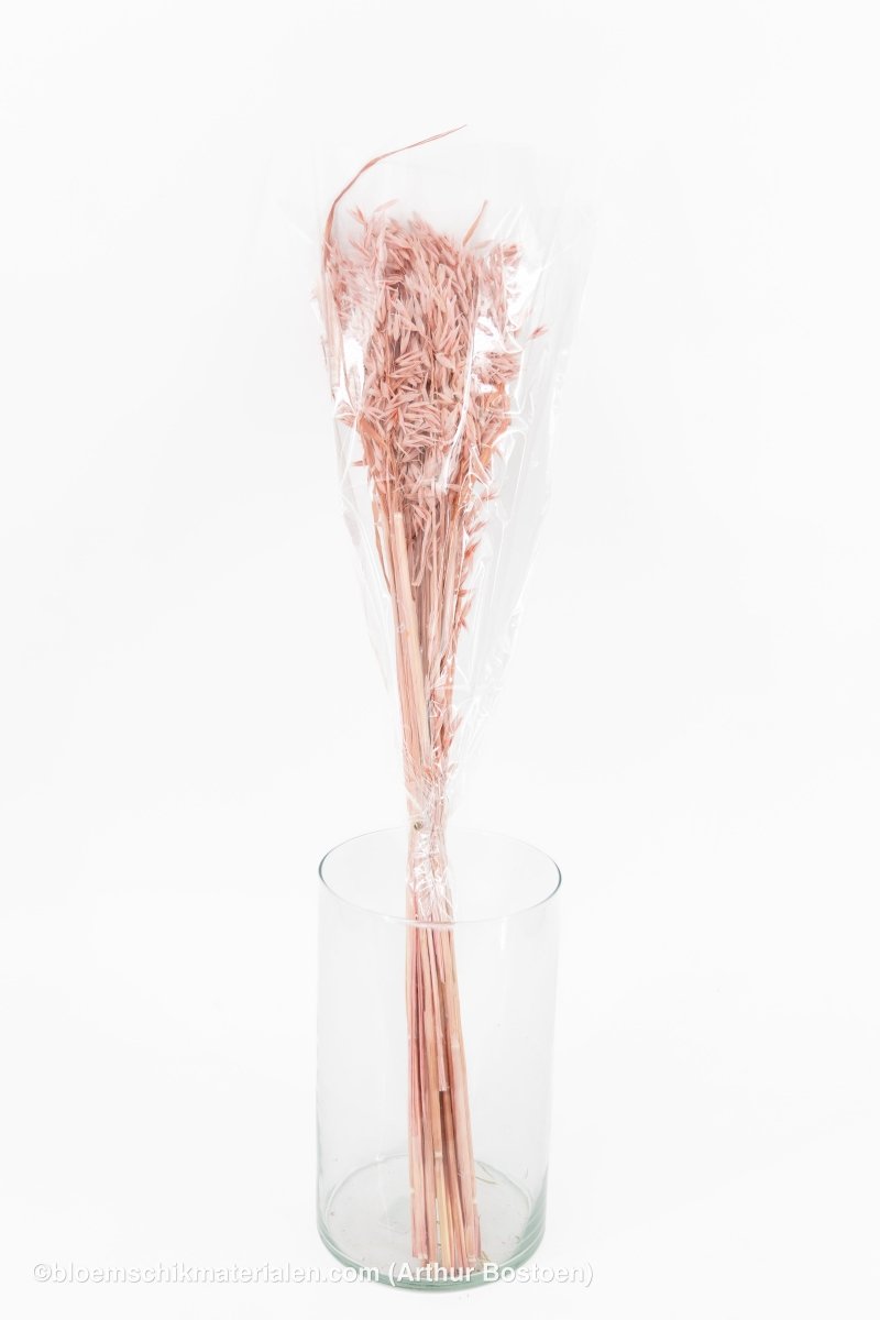 HAVER POEDERROOS +/ - 100GR - bloemschikmaterialen.com