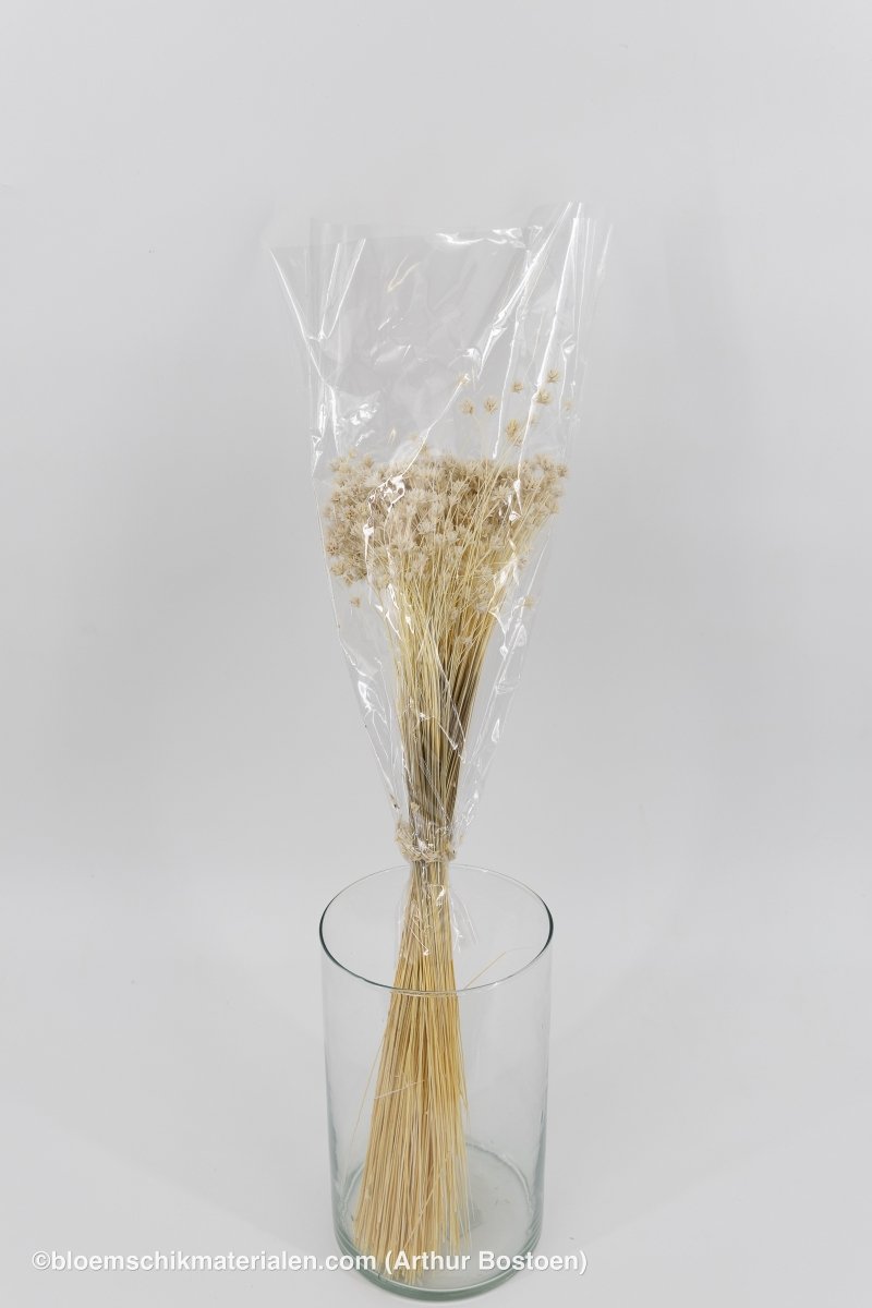 HILL FLOWER GEBLEEKT +/ - 150GR - bloemschikmaterialen.com