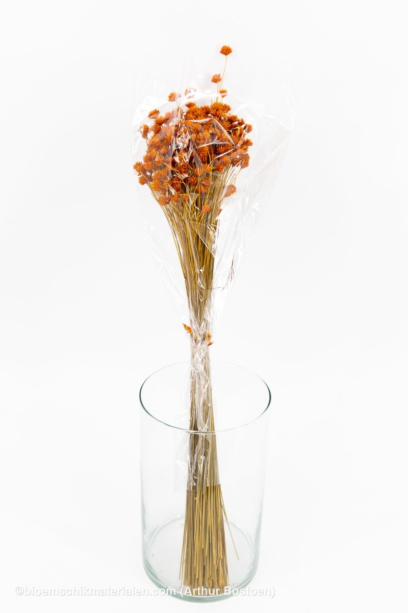 HILL FLOWER ORANJE (ABRIKOOS) +/ - 150GR - bloemschikmaterialen.com