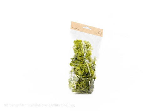 IJSLANDS MOS APPELGROEN +/ - 50GR - bloemschikmaterialen.com