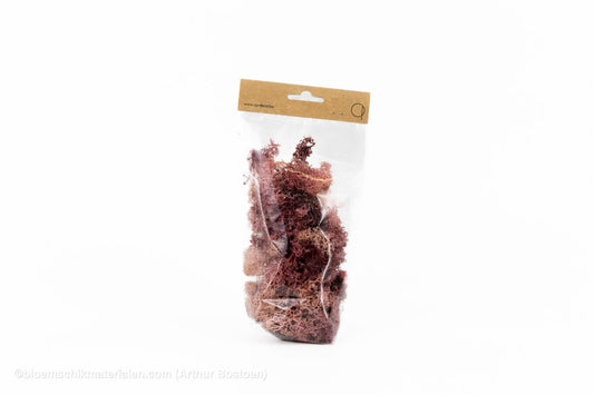 IJSLANDS MOS POEDERROOS +/ - 50GR - bloemschikmaterialen.com