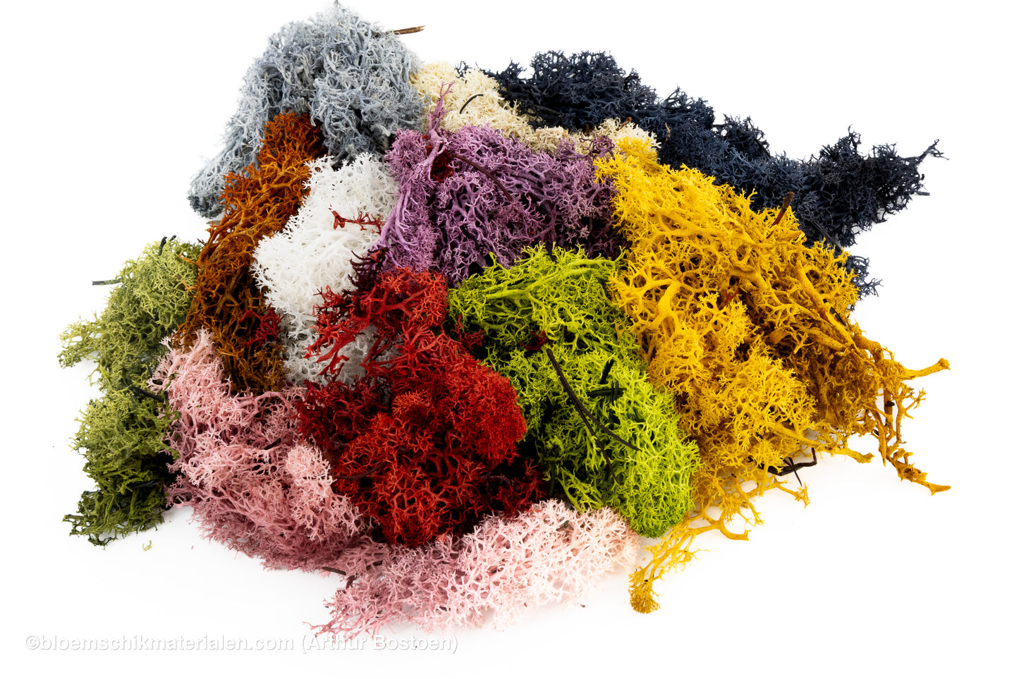 IJSLANDS MOS BRUIN +/-50GR