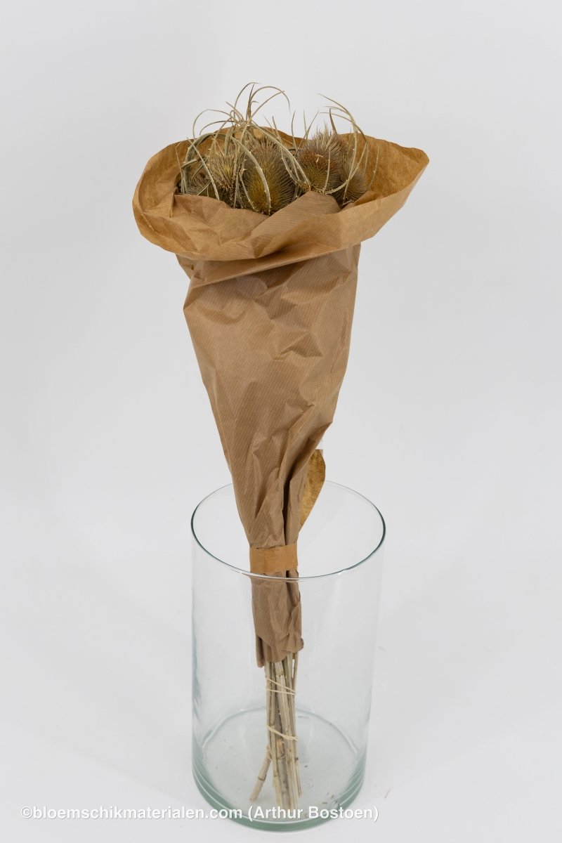 KARDOEN DISTEL NATUREL 10ST - bloemschikmaterialen.com