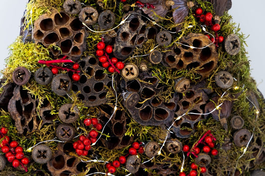 Kerstboom met eucalyptus & canella (Pakket) - bloemschikmaterialen.com