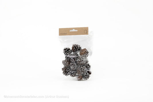 MUGUS WHITE TIPPED +/ - 100GR - bloemschikmaterialen.com