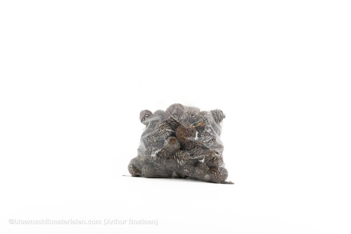 MUIRII KOPPEN NATUREL +/ - 500GR - bloemschikmaterialen.com