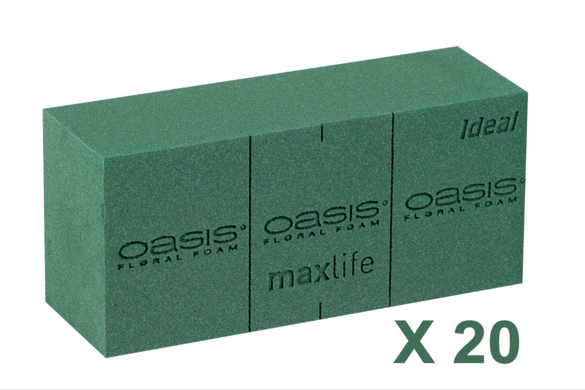 OASIS IDEAL BLOKKEN 20ST (23X11X8CM) - bloemschikmaterialen.com