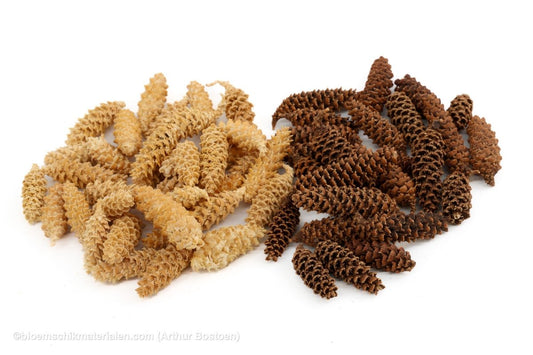 OMORIKA GERASPELD GEBLEEKT +/ - 500GR - bloemschikmaterialen.com