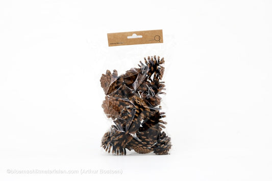OOSTENRIJKER KOPPEN (PINUS NIGRA) NATUREL +/ - 200GR - bloemschikmaterialen.com