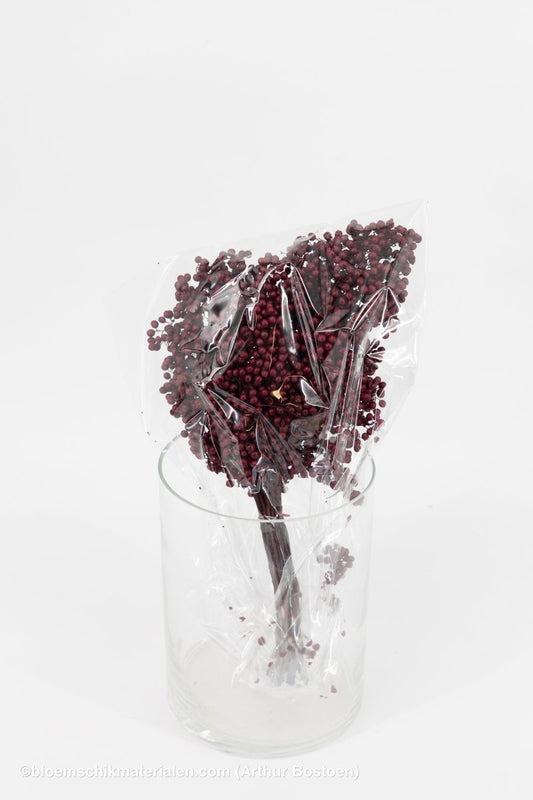 PEPPERBERRY BORDEAUX - bloemschikmaterialen.com