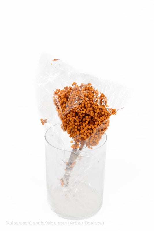 PEPPERBERRY COGNAC - bloemschikmaterialen.com