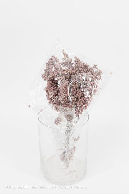 PEPPERBERRY FROSTED WHITE - bloemschikmaterialen.com