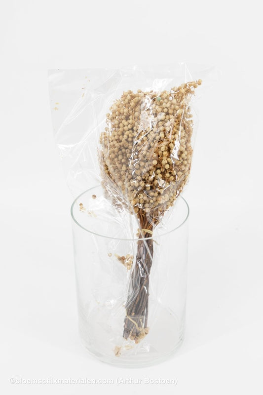 PEPPERBERRY GEBLEEKT - bloemschikmaterialen.com