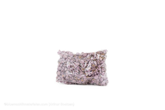 PHUTKA PODS BLACKBERRY +/ - 250GR - bloemschikmaterialen.com