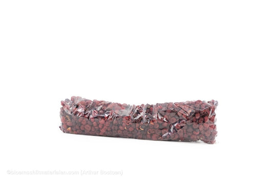 PHUTKA PODS BORDEAUX +/ - 250GR - bloemschikmaterialen.com