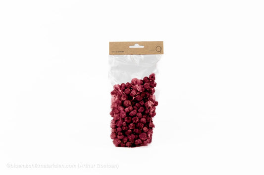 PHUTKA PODS BORDEAUX +/ - 50GR - bloemschikmaterialen.com