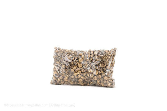 PHUTKA PODS GOUD +/ - 250GR - bloemschikmaterialen.com