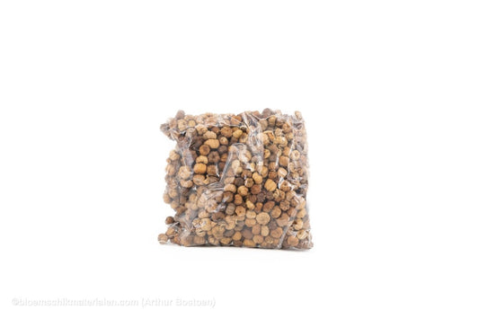 PHUTKA PODS NATUREL +/ - 250GR - bloemschikmaterialen.com
