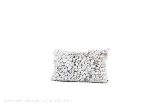 PHUTKA PODS ZILVER +/ - 250GR - bloemschikmaterialen.com