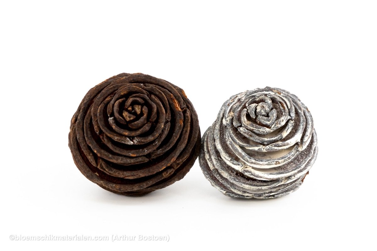 PLATYSPERMUM MEDIUM NATUREL 1KG - bloemschikmaterialen.com