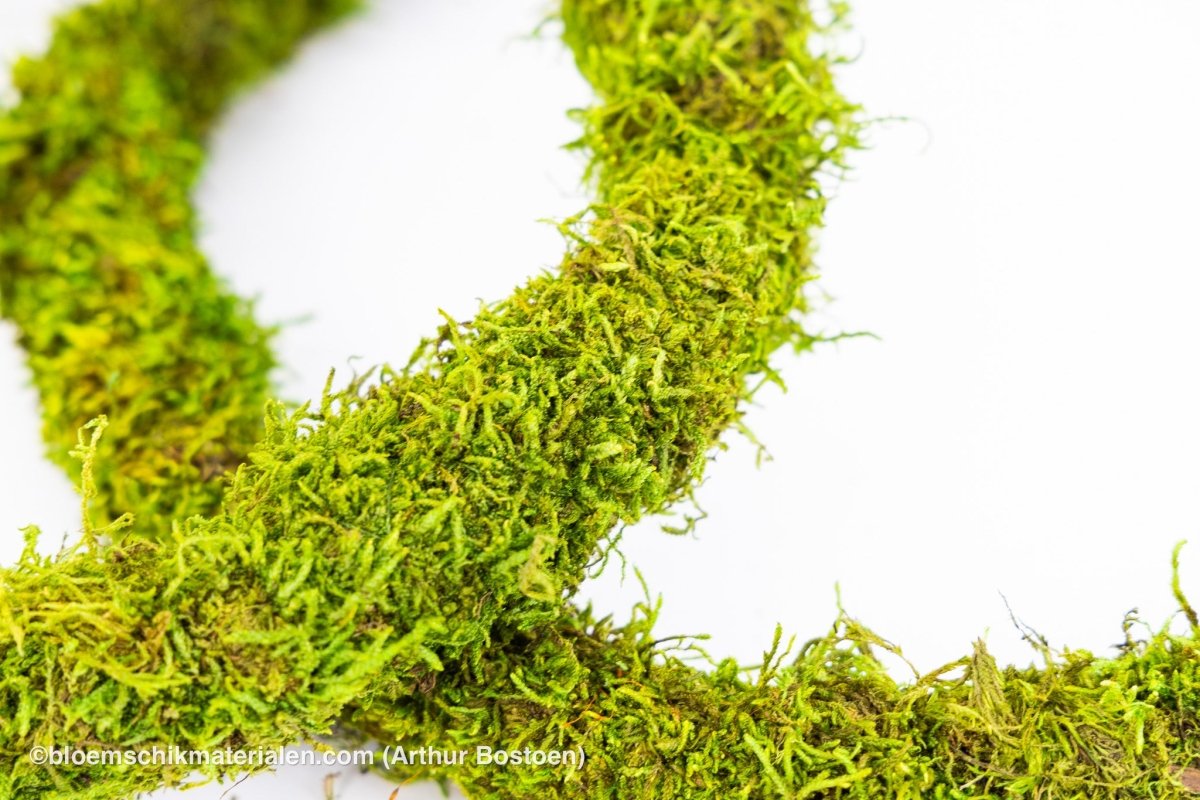 RING GROEN GECONCERVEERD MOS 26 CM - bloemschikmaterialen.com