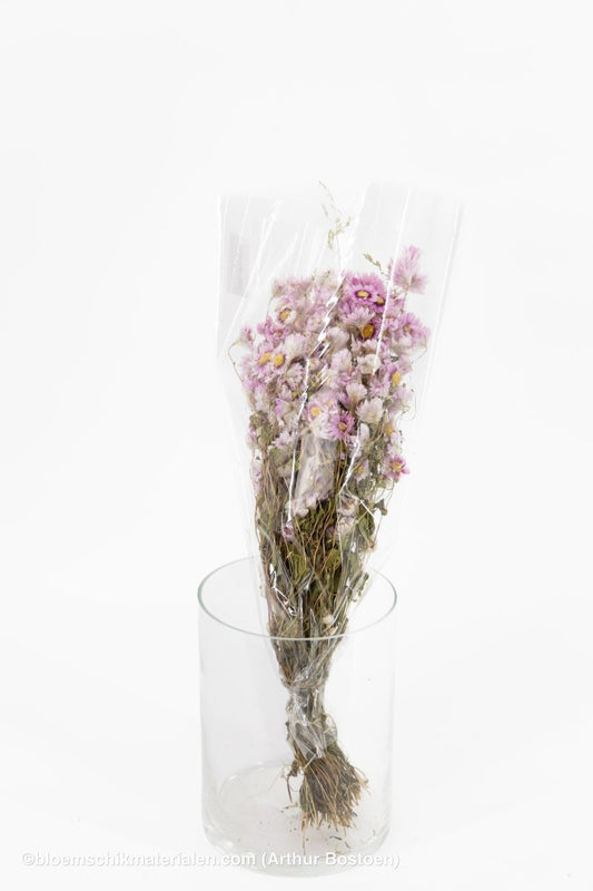 RODANTHE ROZE NATUREL - bloemschikmaterialen.com