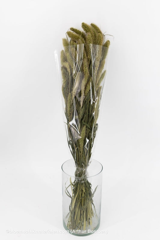 SETARIA NATUREL - bloemschikmaterialen.com