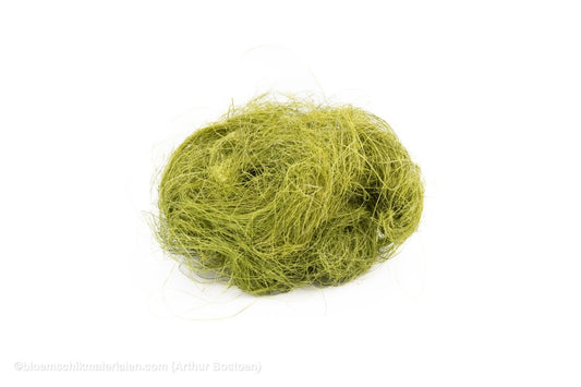 SISAL APPELGROEN +/ - 20GR - bloemschikmaterialen.com