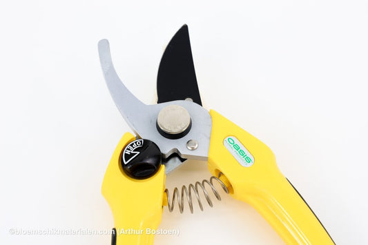 SNOEISCHAAR 20CM (OASIS) (BEK 6CM) - bloemschikmaterialen.com