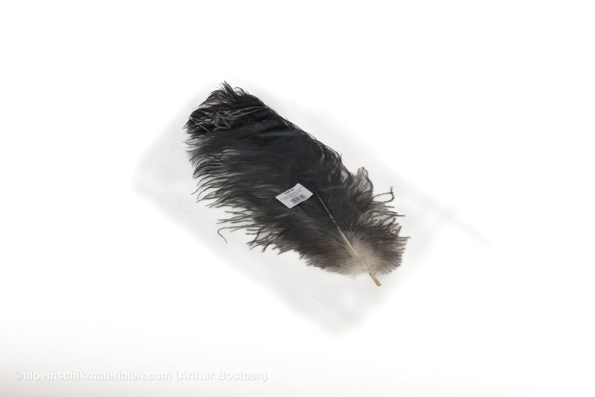 STRUISVOGELVEREN DRAB 51 - 60CM NATUREL 1ST - bloemschikmaterialen.com