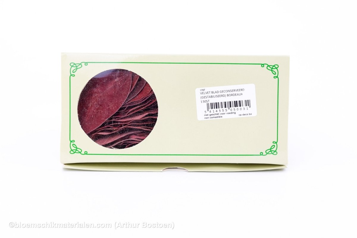 VELVETBLAD GECONSERVEERD (GESTABILISEERD) BORDEAUX 150ST - bloemschikmaterialen.com