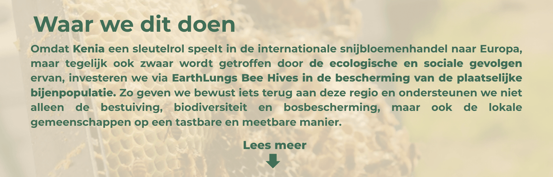 Van Europese bloemen naar impact in Kenia - bloemschikmaterialen.com