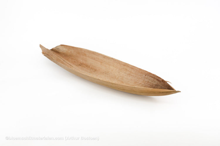 Cocos/kokos (bladen, noten, vezel, touw, sterren)