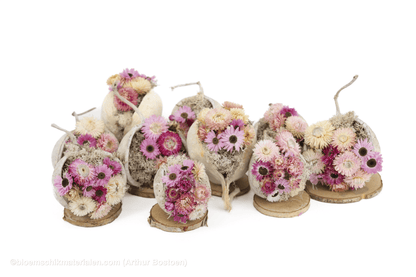 10 Budhanoten als Lente Decoratie - bloemschikmaterialen.com