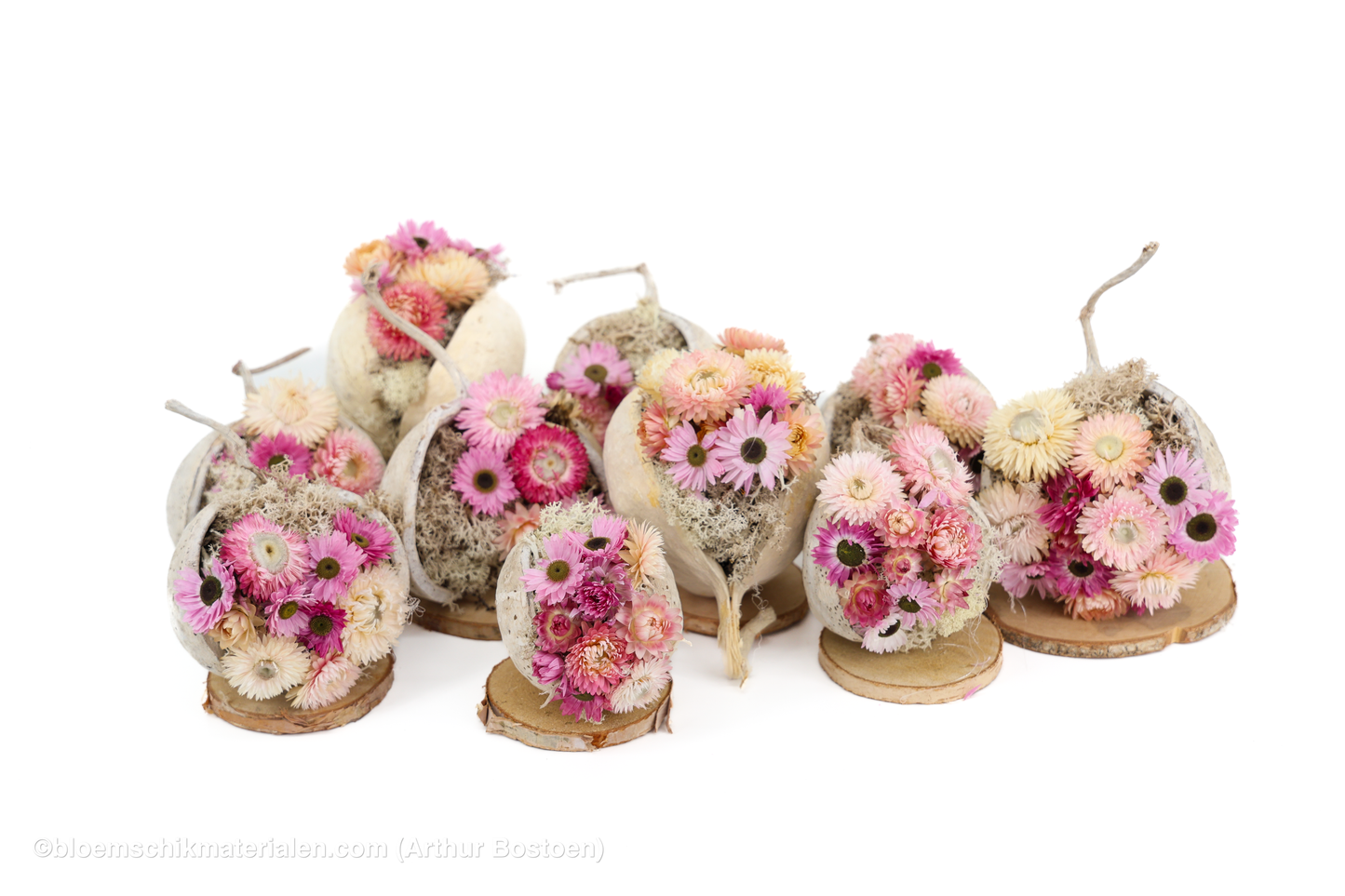 10 Budhanoten als Lente Decoratie