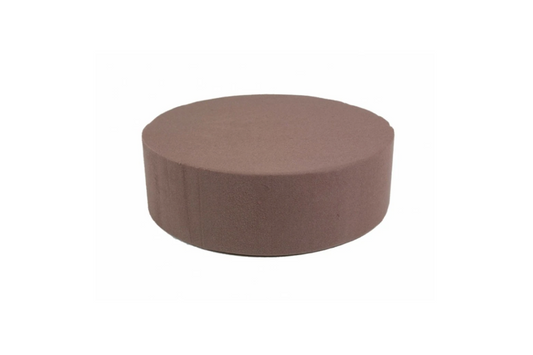 BIO TAART ROND 1ST (22X7CM) (CAKE DUMMY)