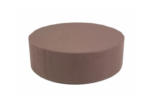 BIO TAART ROND 1ST (30X7CM) (CAKE DUMMY)