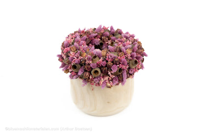 Boho droogbloemkrans op pot (20-25cm Ø)