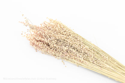 BRIZA MINIMA GEBLEEKT +/-100GR